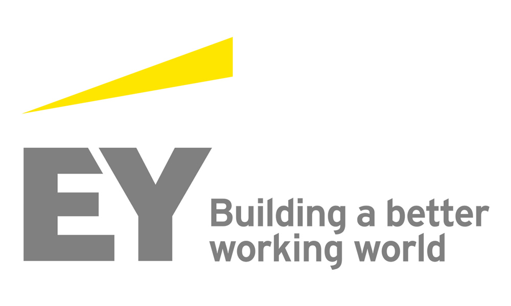 EY provides consulting, assurance, tax and transaction services that help solve our client's toughest challenges and build a better working world for all.